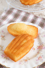 Madeleines little French sponge cakes