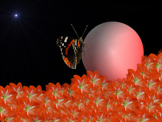 Un Mondo fantastico con fiori e farfalle © Franxuc