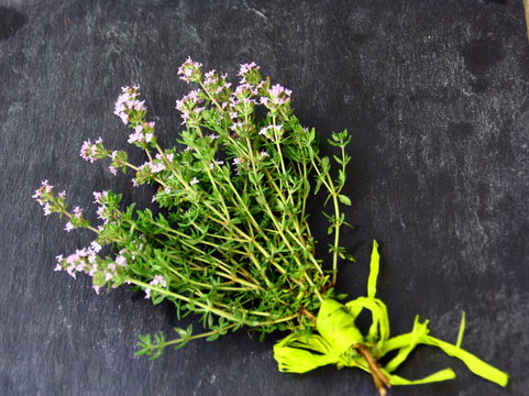bouquet fleuri de thym,herbe aromatique 