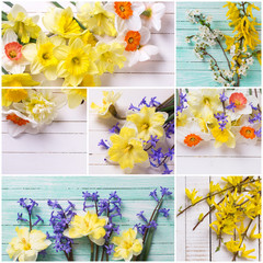 Collage from  photos with  colorful flowers