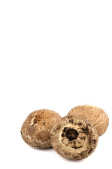 Portobello Mushroom on White Background in vertical
