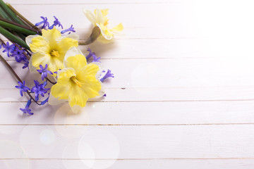 Fresh yellow and blue flowers on white wooden background