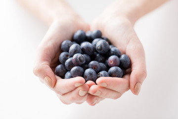 close up of woman hands holding blueberries