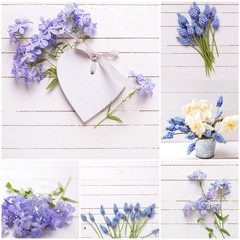 Collage from photos with  blue  flowers