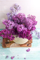 Background with  lilac flowers
