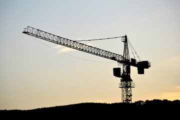 Crane