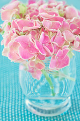 Obraz premium Pink hydrangea flowers in a vase on a blue background . 