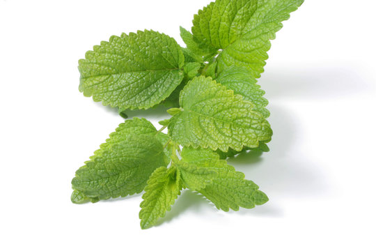 m&eacute;lisse 25052015