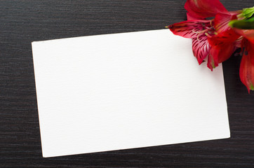 white greeting card with flower on a black background