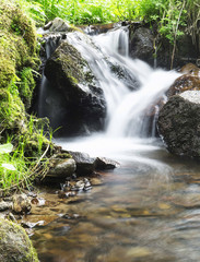 Wild Creek Waterfall in the Forest with Green Vegetation