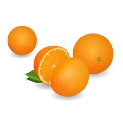 Orange illustration
