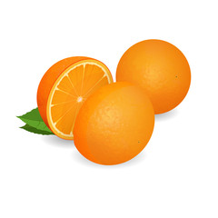 Orange illustration