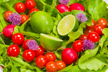 Lettuce, radishes, chives, lime and tomatoes