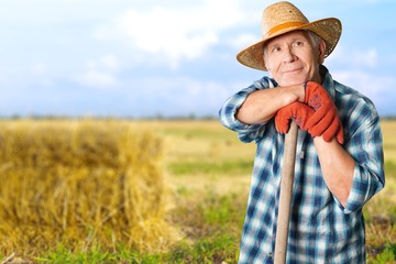 Gardening, Senior Adult, Men.