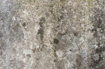 The gray concrete wall with traces of moss.