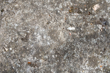 The gray concrete wall with traces of moss and small stones.