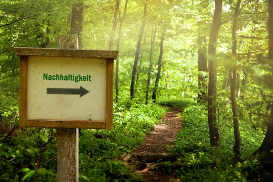 Nachhaltigkeit Wegweiser