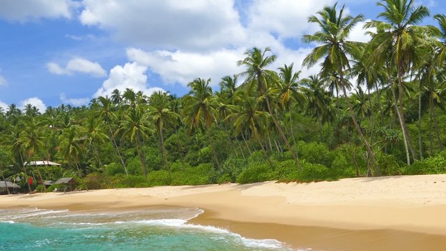 beautiful landscape with sea waves on tropical beach and coconut palms
