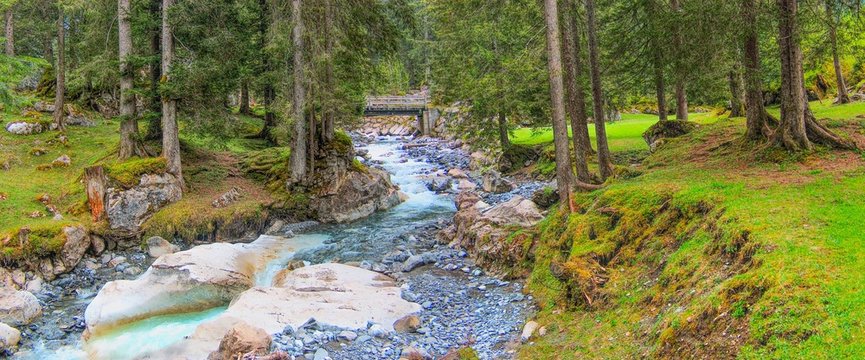 River and pine forest in Swiss Alps on view panoramic . 