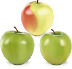 vector apples with mesh gradient