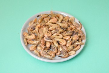 Common Shrimp