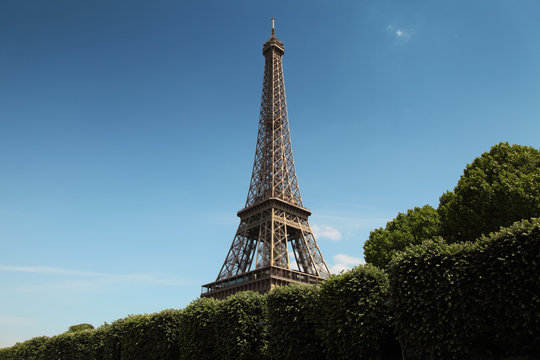 image of Eiffel tower in Paris