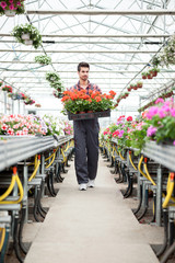  young florist man working with flowers at a greenhouse