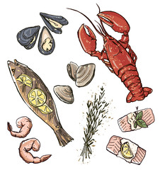 Seafood selection. Vector illustration. 