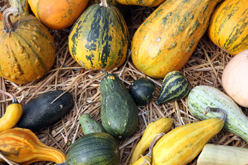 Pumpkins