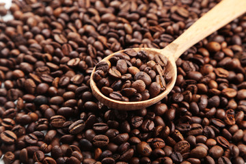 Coffee beans in wooden spoon
