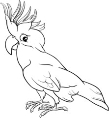 Naklejka premium cockatoo parrot coloring page