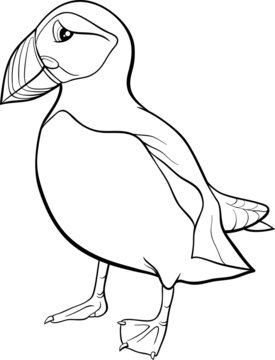 puffin cartoon coloring page