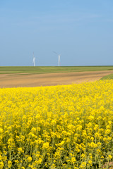 Clean energy in the spring on Polish countryside