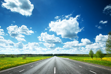 Asphalt road and dandelion field