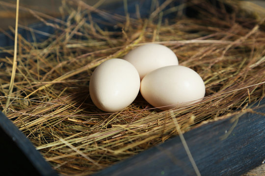 White eggs in straw