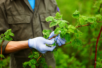 Gardening.
