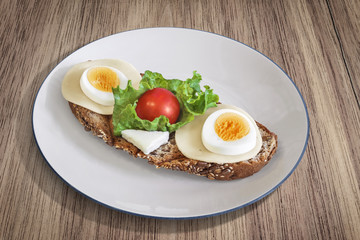Plate with light Toast Sandwich, placed on wooden table.