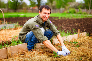 Gardener.