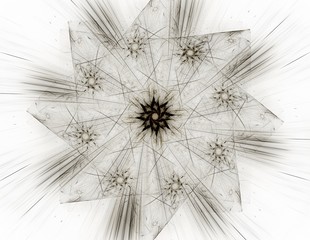 Stained glass flower or butterfly, digital fractal art design