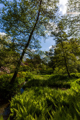 Obraz premium Park in Rostock