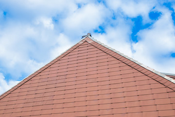 Braune Fassade mit schieferplatten bedekt