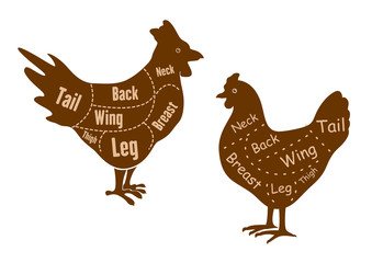 Rooster and hen butcher cuts diagram