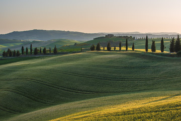 Fototapeta premium Quiet summer field in Tuscany