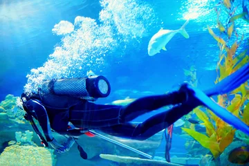 Fototapeten scuba diver swims underwater among reefs © Olesia Bilkei