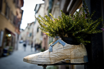 I vasi a forma di scarpe