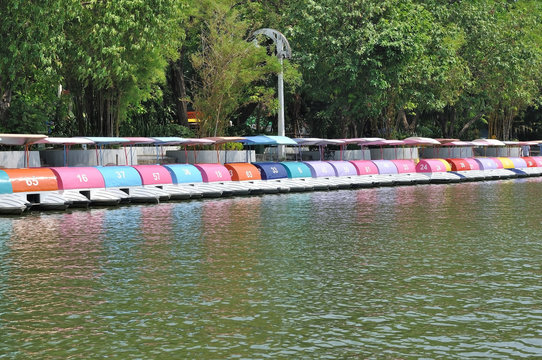 Many pedal boats with running number arrange in lake.
