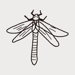 Dragonfly doodle