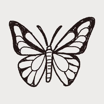 butterfly doodle