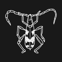 insect doodle