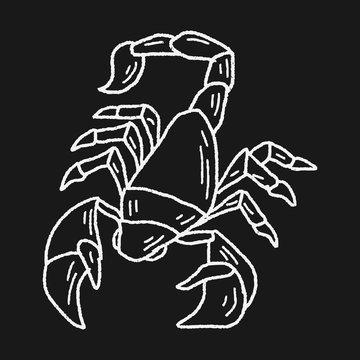 Scorpion doodle
